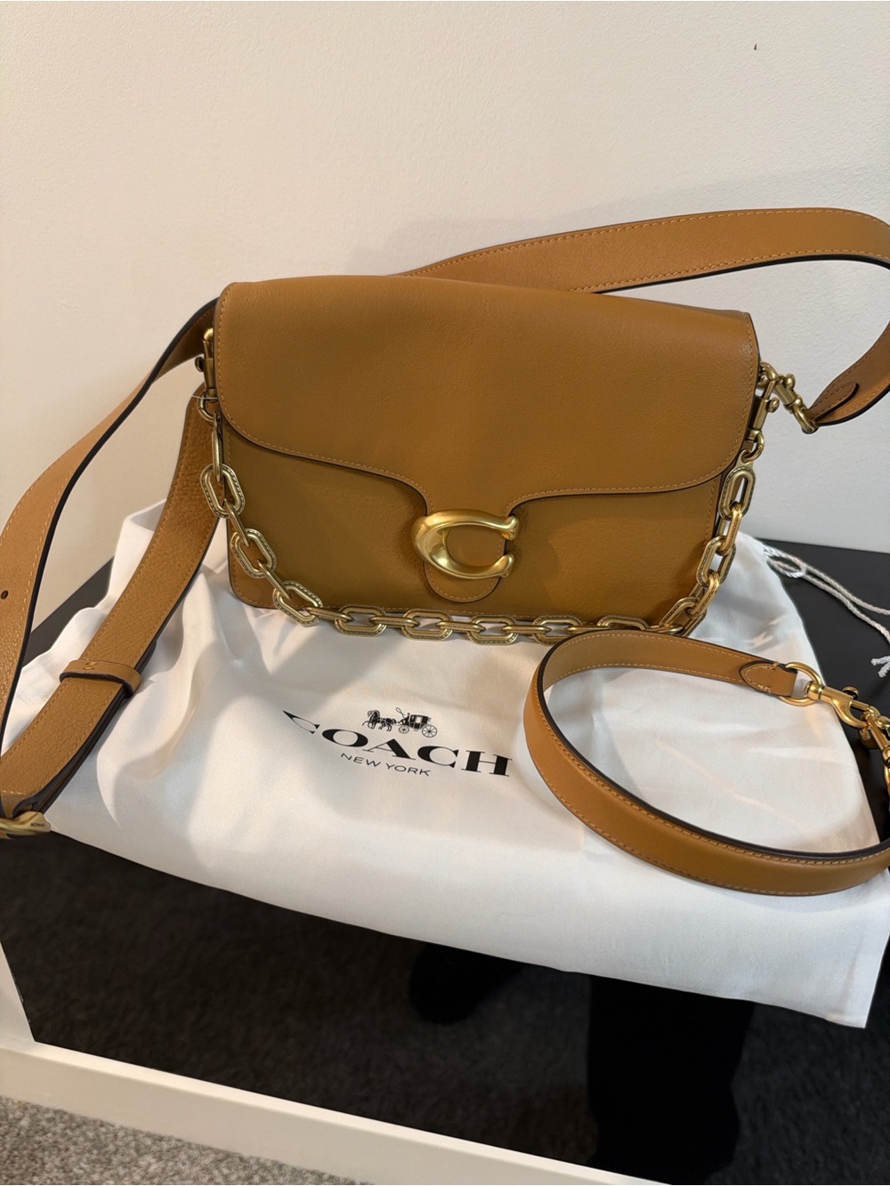 Coach Chain Tabby Shoulder Bag
